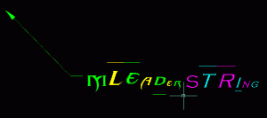 smt-mleaders